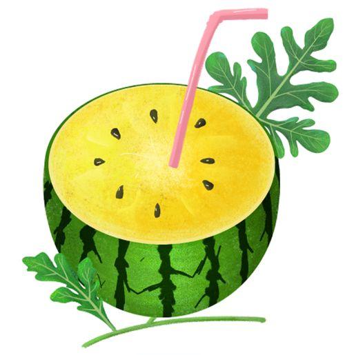 吃瓜之王知乎免费阅读,知乎免费阅读背后的故事 第3张 吃瓜之王知乎免费阅读,知乎免费阅读背后的故事 第3张