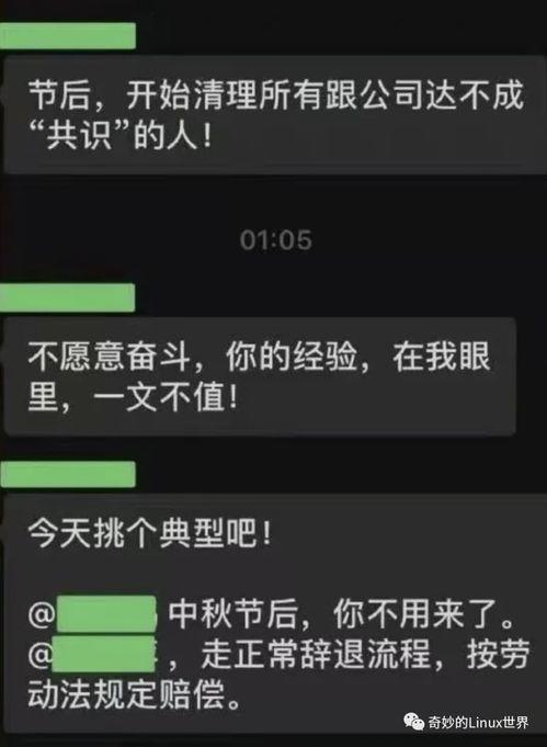 it公司最新爆料,行业变革与创新趋势全解析  第2张