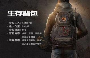 代号最新爆料,揭秘神秘组织背后的惊天秘密 第3张 代号最新爆料,揭秘神秘组织背后的惊天秘密 第3张